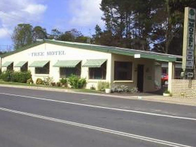 The Tree Motel Narooma Exterior photo